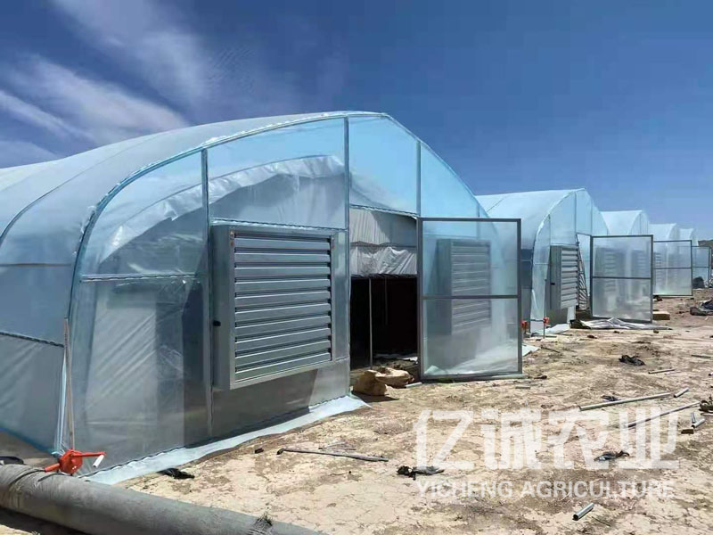 新型日光連棟溫室大棚 新型日光連棟溫室大棚